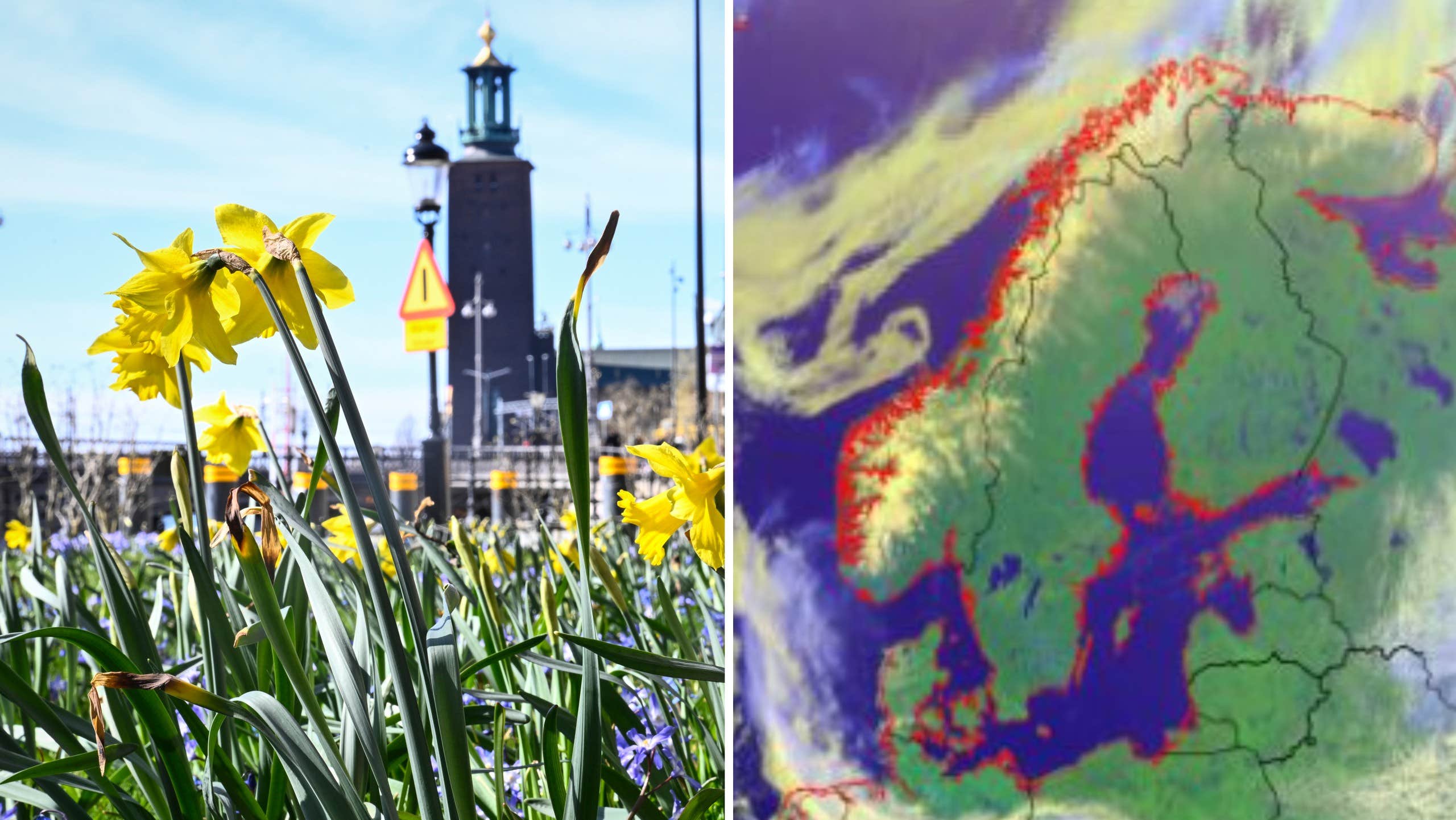 Varma april blir varmare – nosar på 20 grader