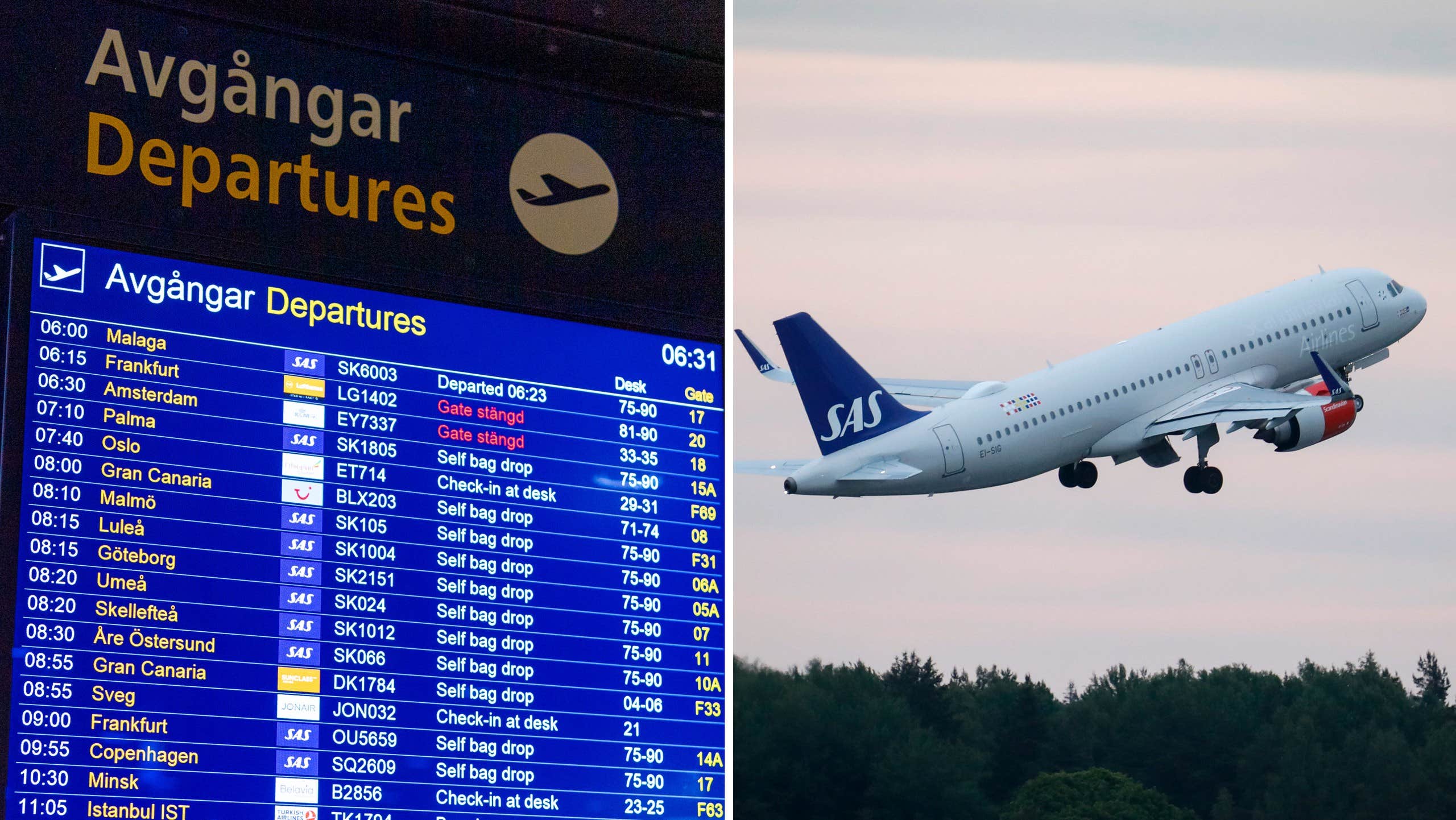 Expertens råd inför sommarresan: ”Boka nu”