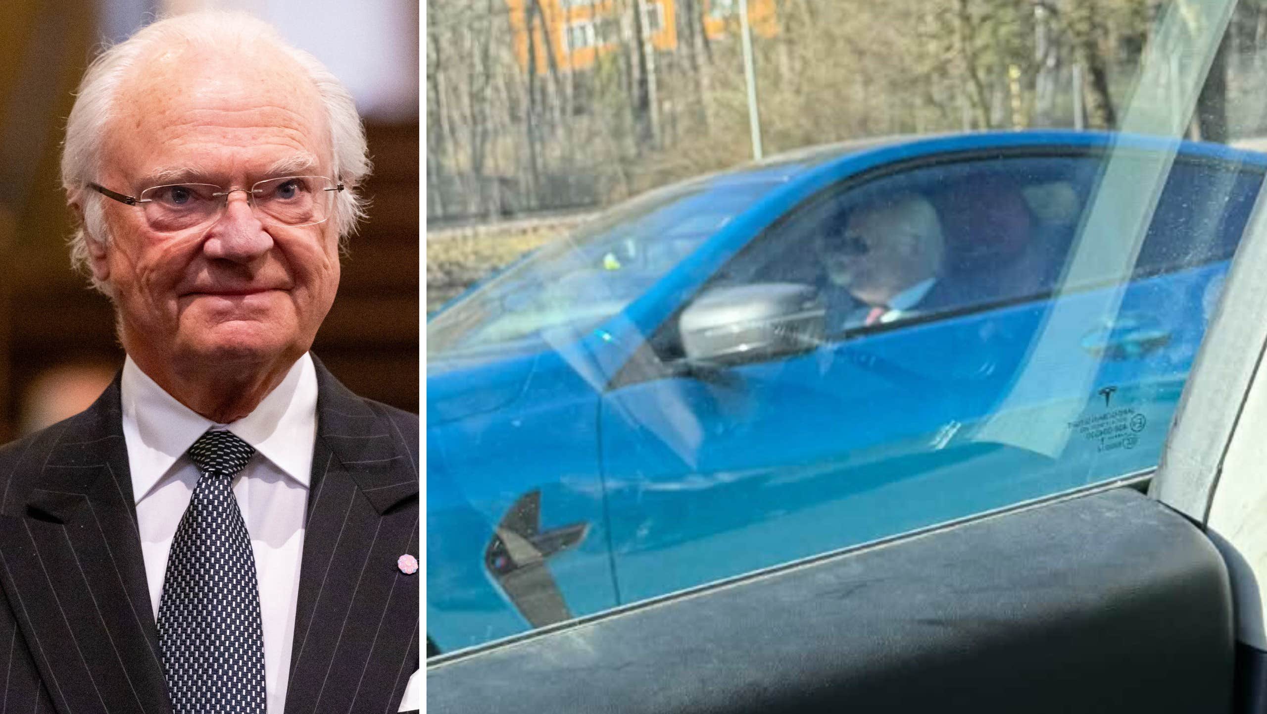 Här tar kungen köerna med majestätiskt lugn