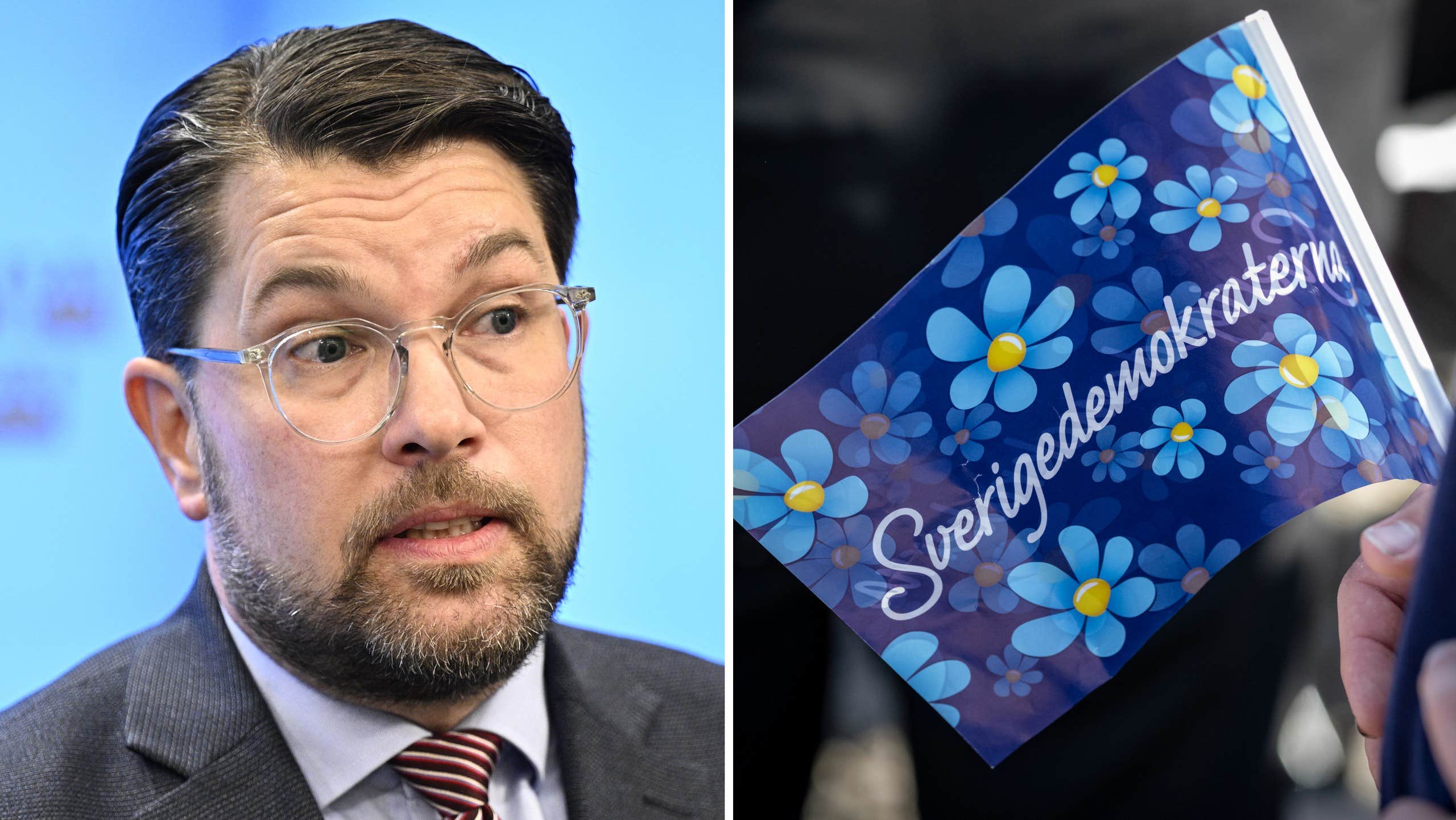 SD granskar kandidater till toppjobb i regeringen
