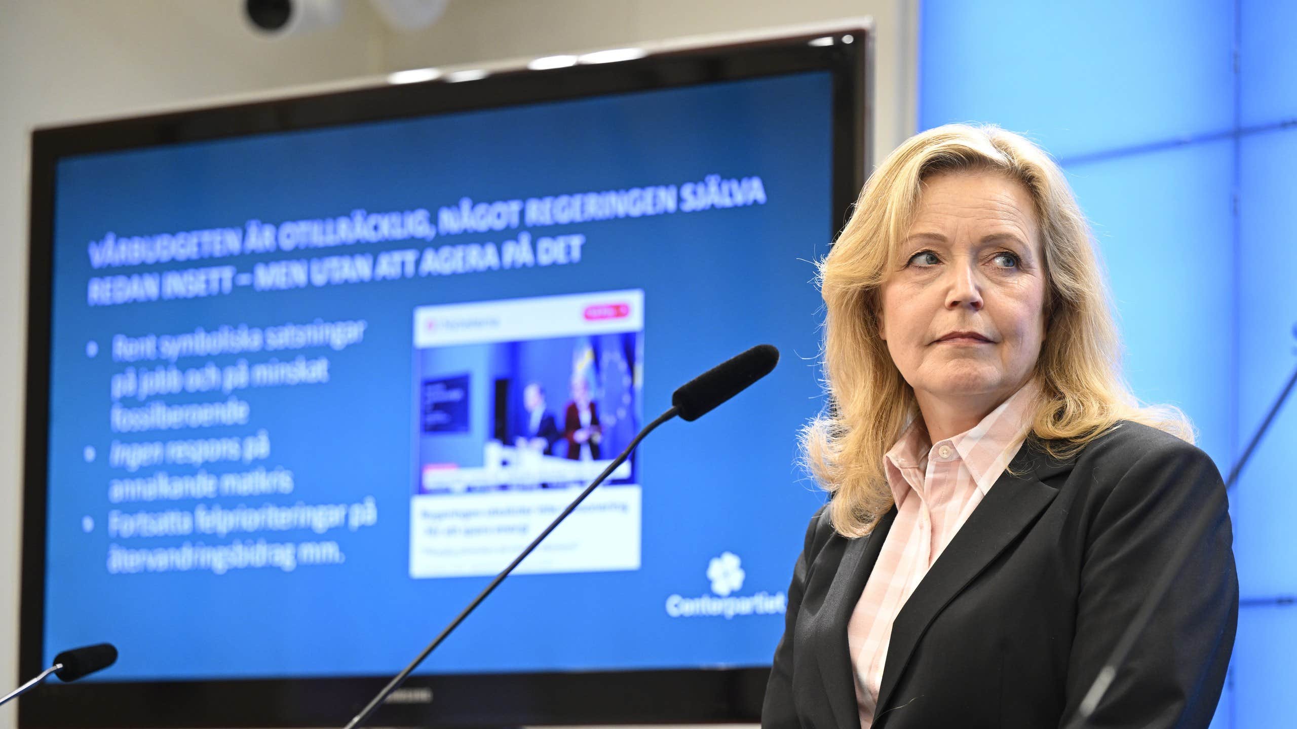 C föreslår jobbsatsningar – kritiken mot regeringen