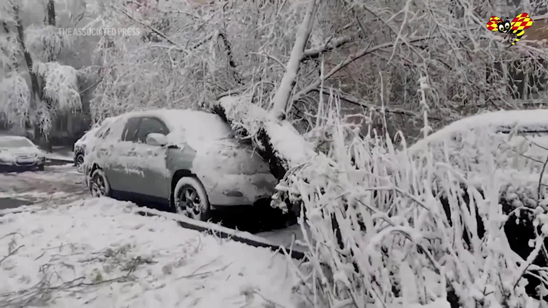 Snökaos i Moskva – baltisk cyklon sveper in