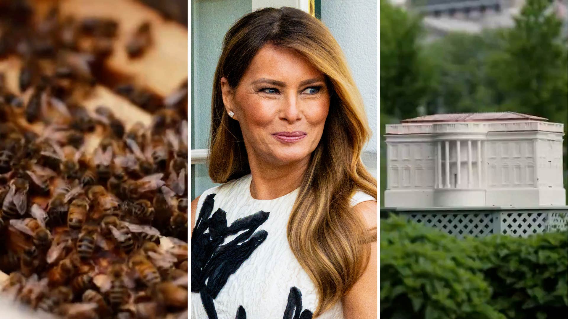 Melania surrar till det i Vita huset