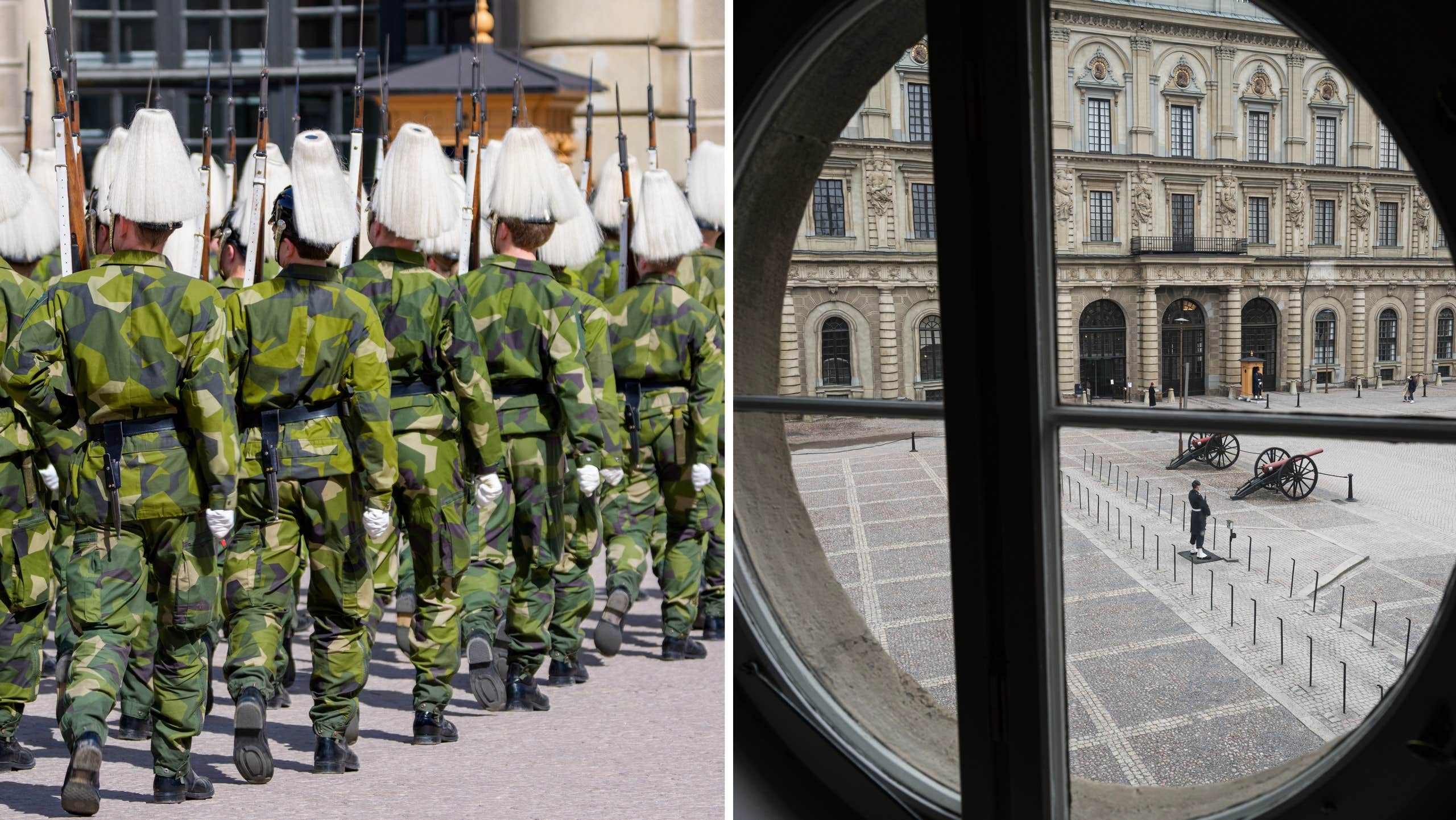 Fyra officerare anmälda för sexövergrepp på Livgardet – två har sagt upp sig.
