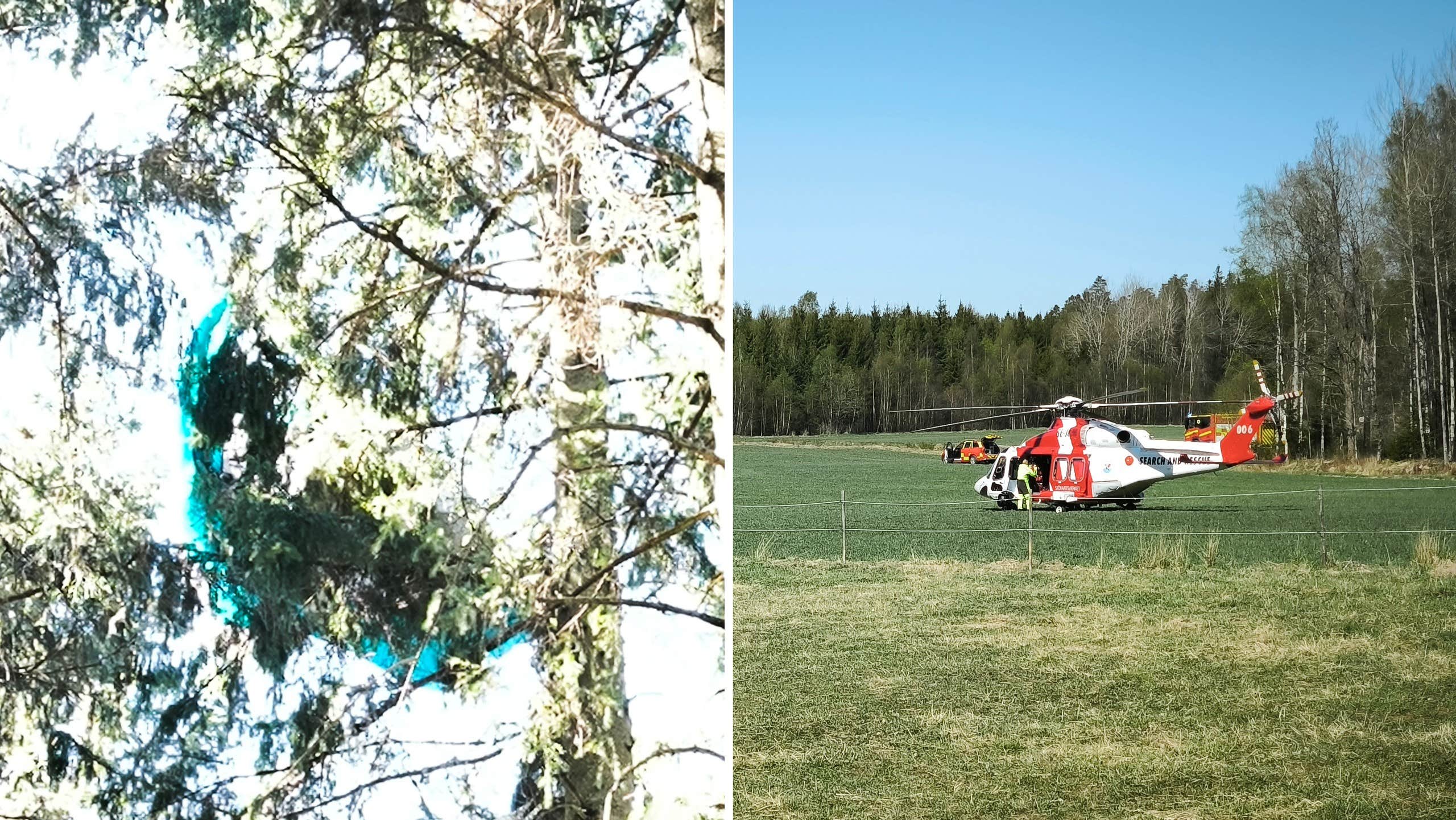 JUST NU: Fast högt upp i träd: ”Fullt pådrag”