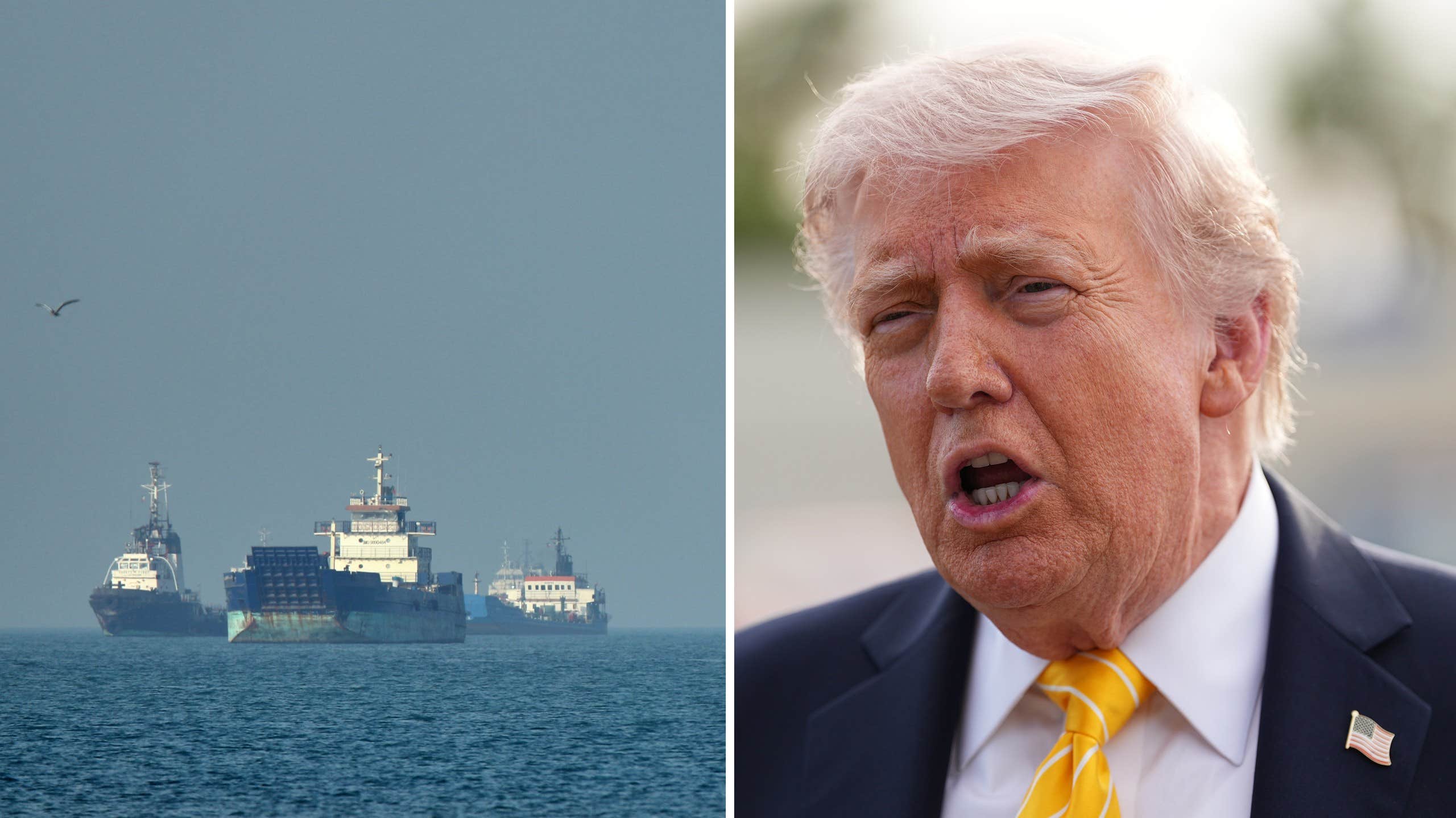 Expert: Iran ser planen som en krigsförklaring