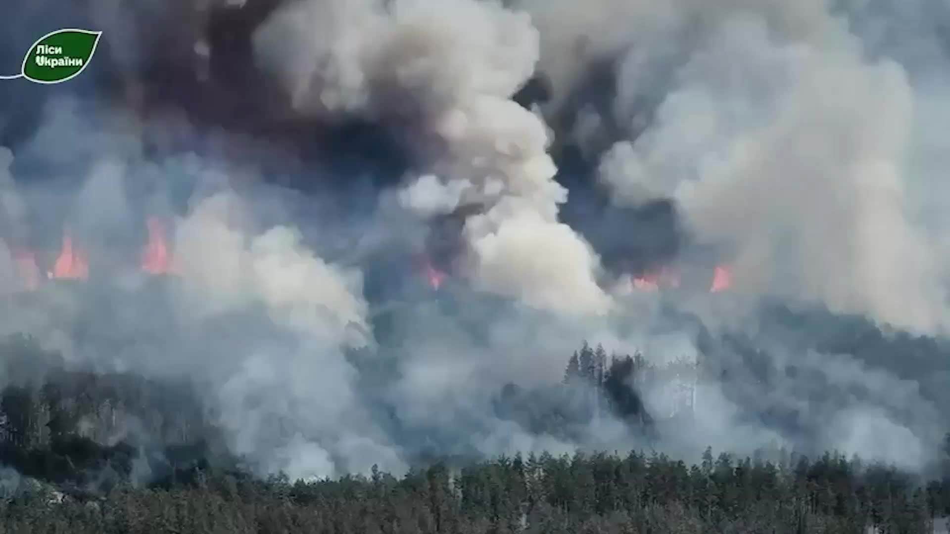 Skogsbrand i Ukraina