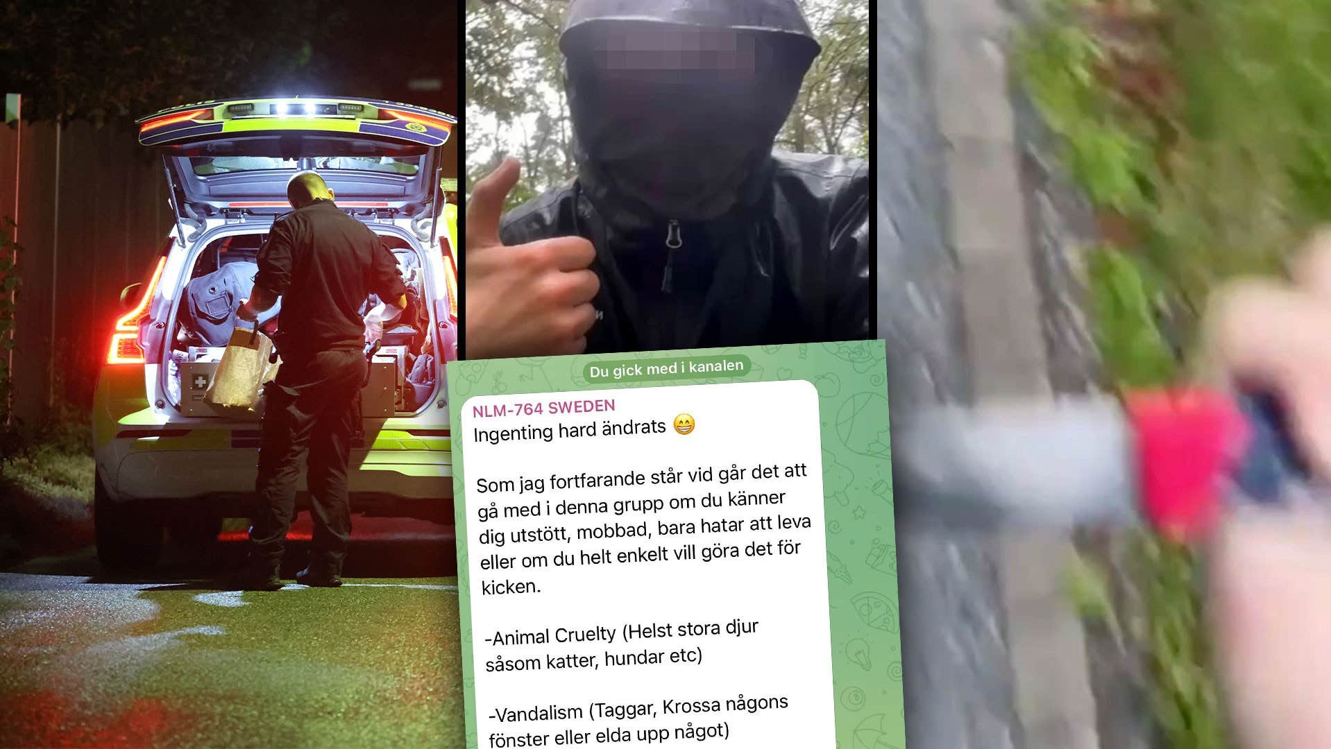 18-åring pekas ut – så styrdes sadistnätverket