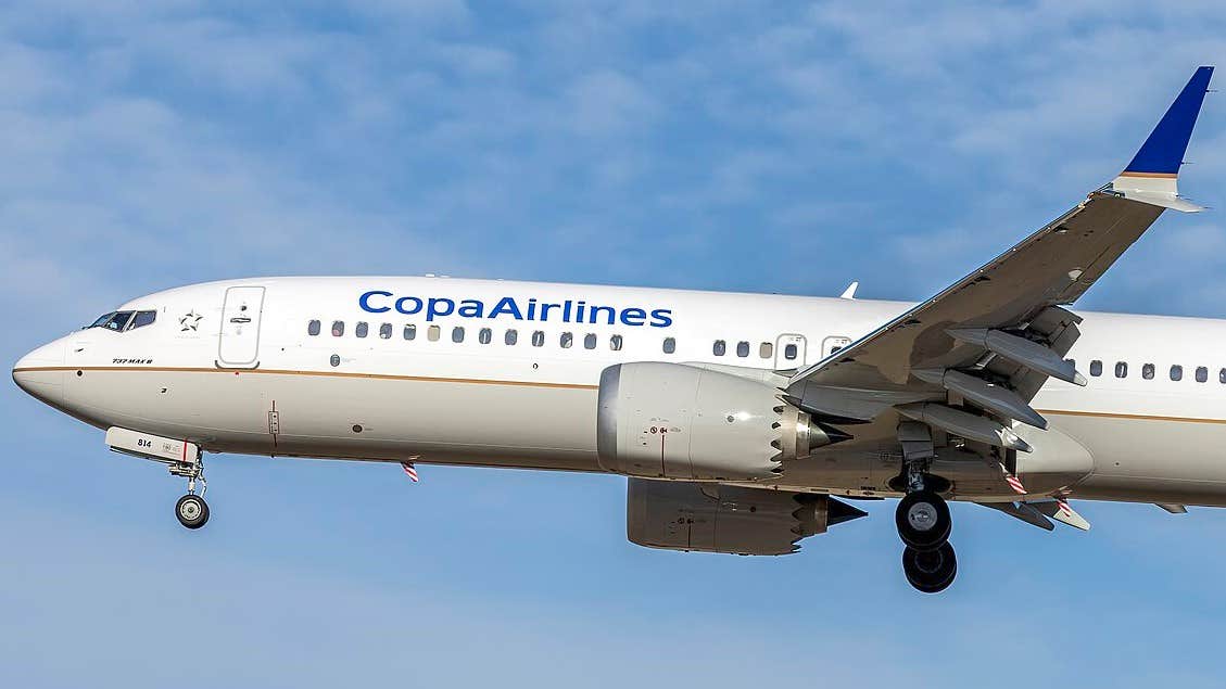 Gripna för snuskiga handlingen på flyget