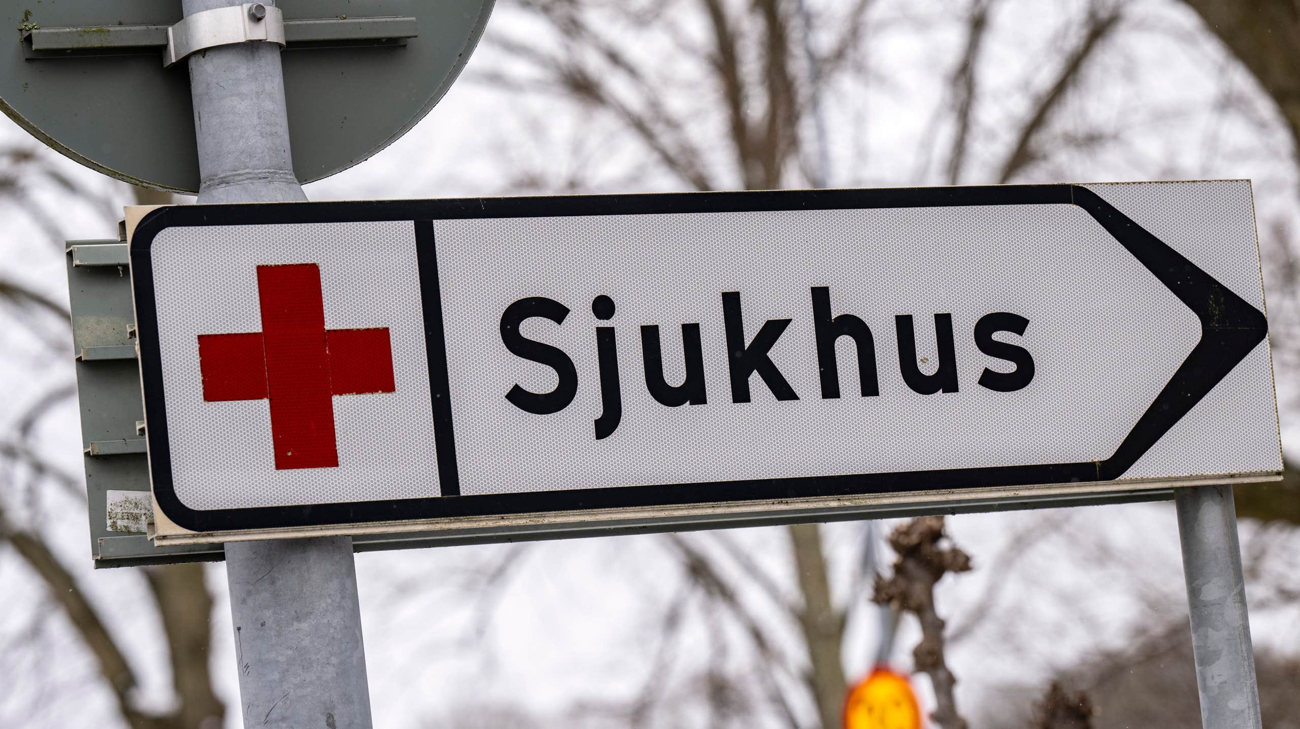 Patient dog – sjukhus anmäler nu sig självt