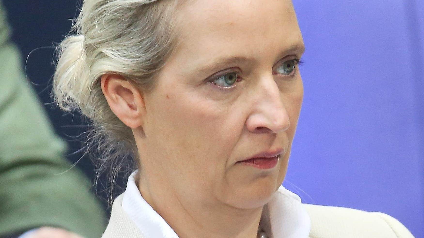Politiker från tyska AfD reser till Ryssland för möte