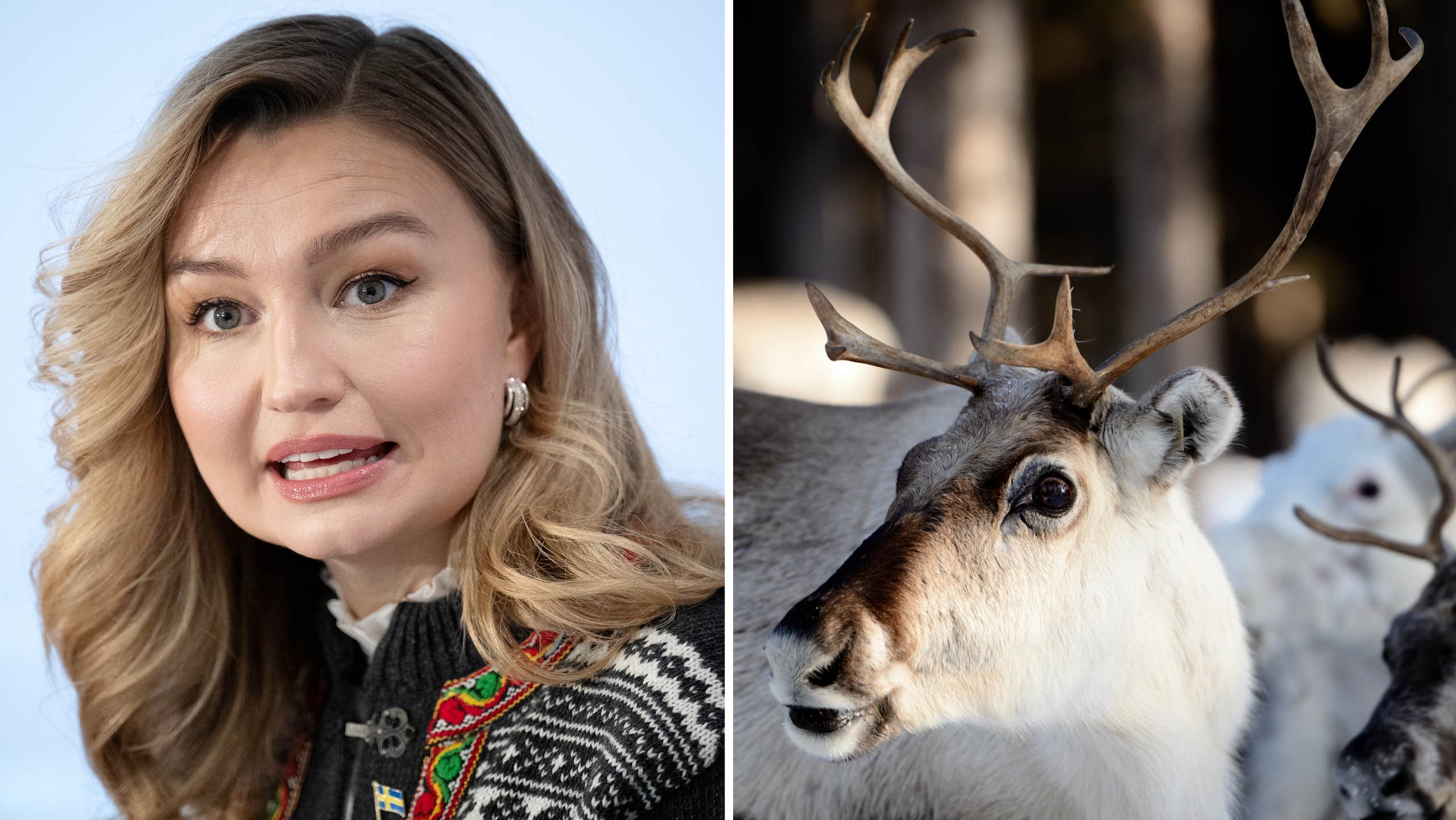 Kängan mot Busch – efter renutspelet