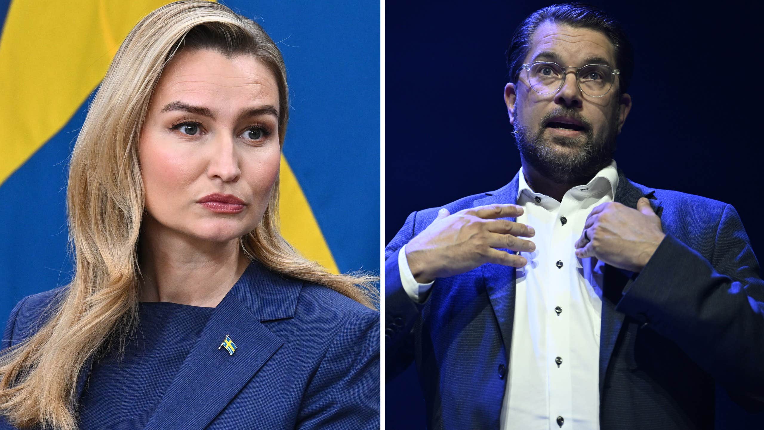Busch ratar SD-förslag
