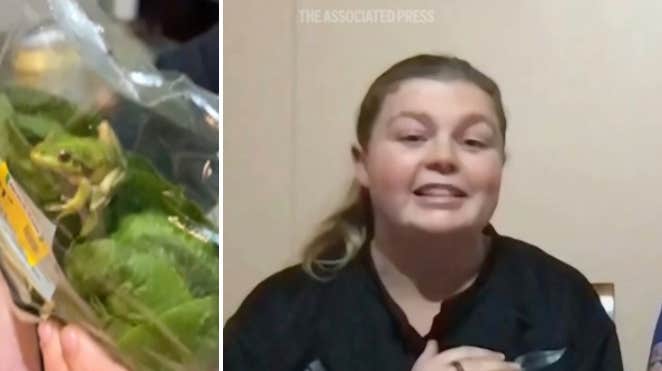 Oväntade fyndet: ”Bror, det är en groda i salladen!”