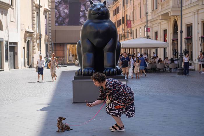 Hundägare tvingas tvätta bort kiss – eller böta | Expressen